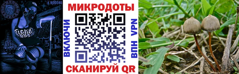 Галлюциногенные грибы GOLDEN TEACHER  Апшеронск 